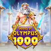 Cổng Olympus 1000 C54233