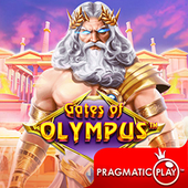 Cổng Olympus C54233